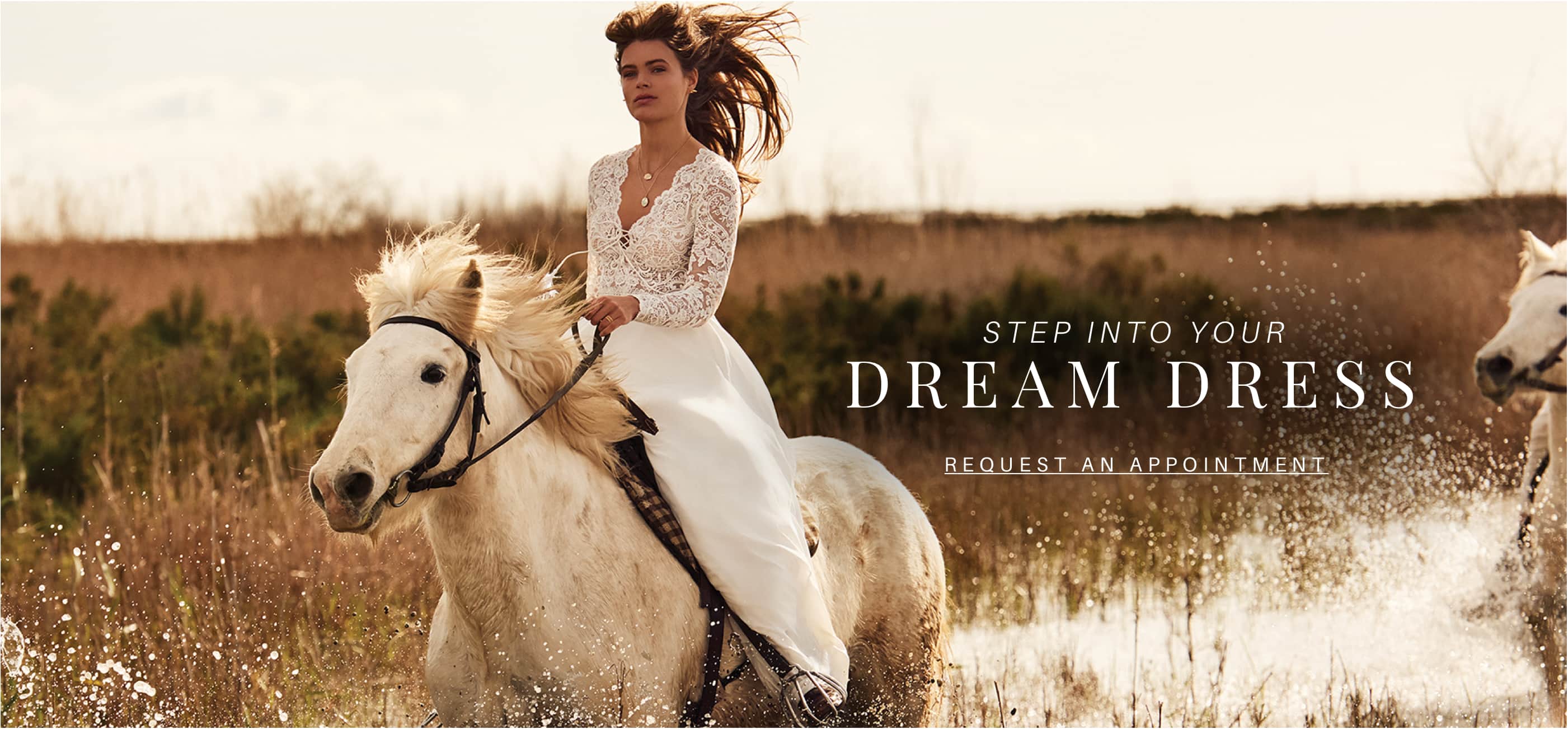 Find your dream wedding dress at Renee Austin Weddings. Desktop image.