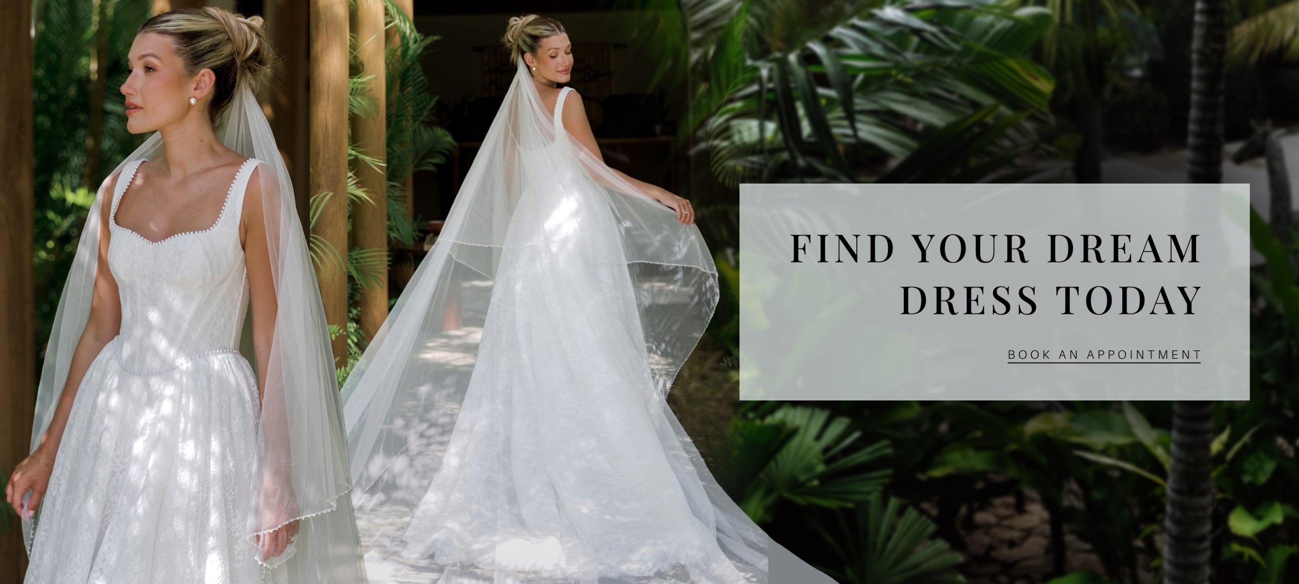 find your dream dress today fall 2026