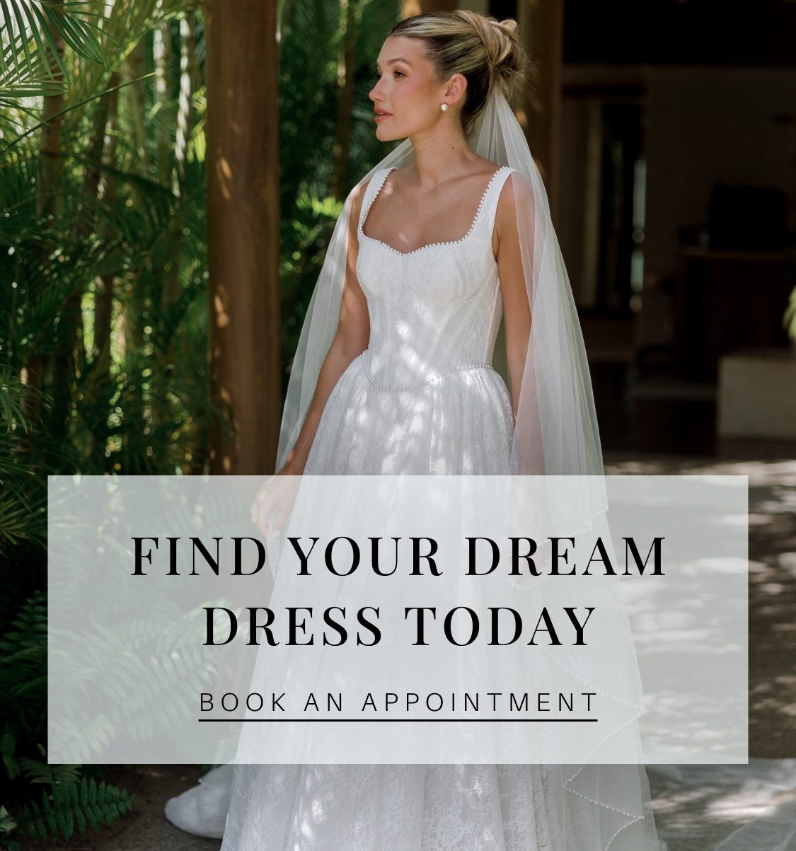 find your dream dress today fall 2026
